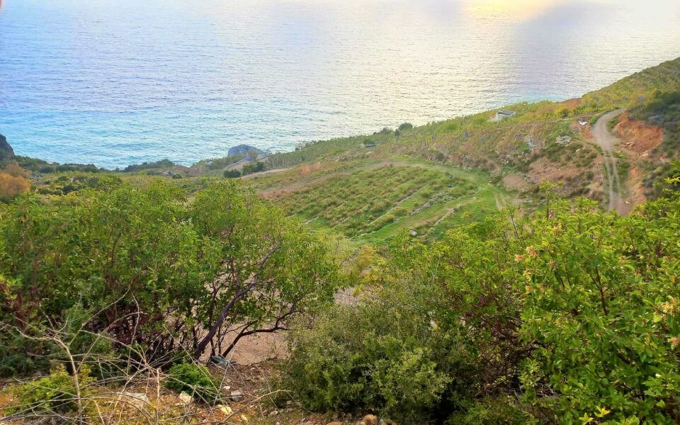 alanya gazipaşa muzkent